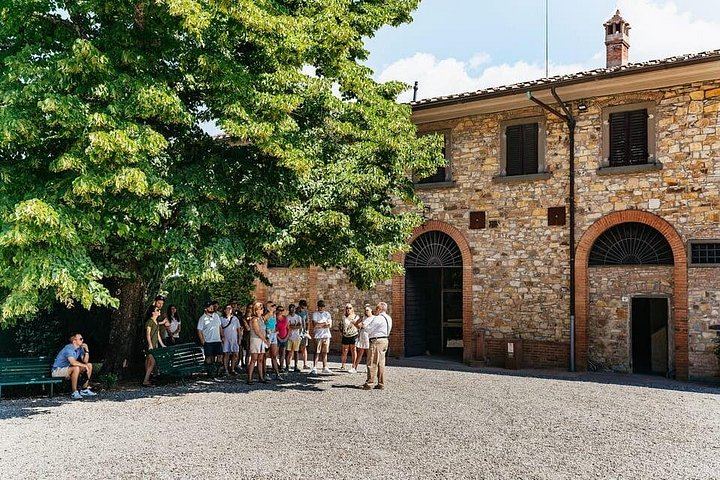 Small-Group Chianti Day from Florence: Riseccoli, Casa Emma, Poggio Torselli (3/12)