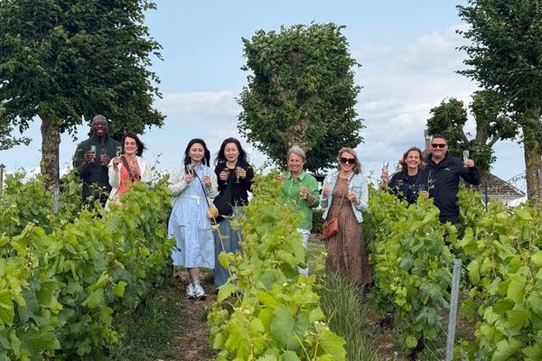 Rome to Tuscany Day Trip: Tenuta Il Quinto Tasting, Countryside Lunch and Big Bench #300