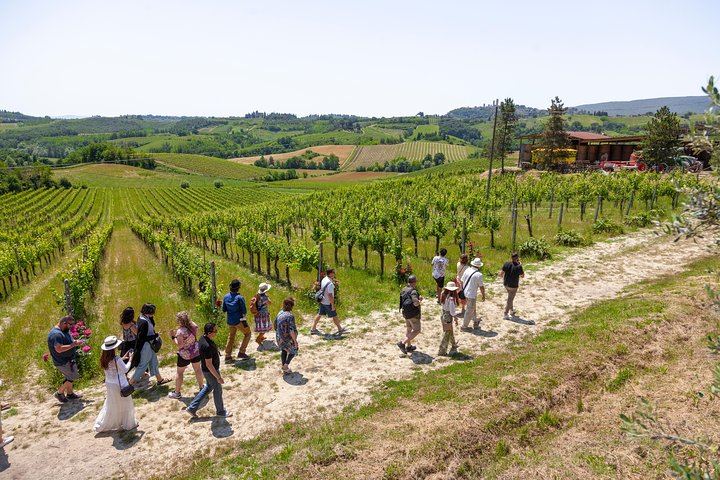 Walkabout Tours Tuscany Day Trip from Florence: Siena, San Gimignano, Pisa, Winery Lunch (1/12)