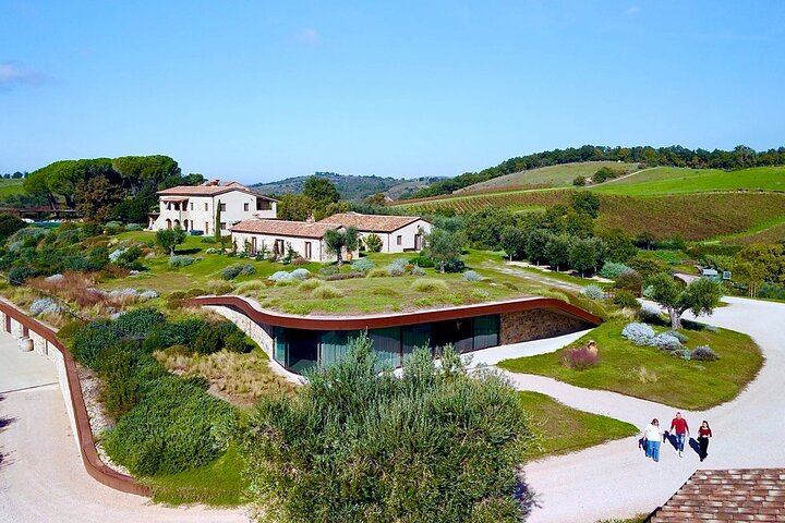 Rome to Tuscany Day Trip: Tenuta Il Quinto Tasting, Countryside Lunch and Big Bench #300 (11/12)