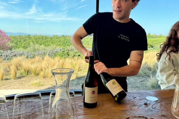 Rome to Tuscany Day Trip: Tenuta Il Quinto Tasting, Countryside Lunch and Big Bench #300 (2/12)