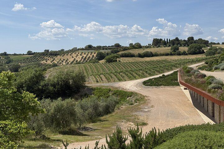 Rome to Tuscany Day Trip: Tenuta Il Quinto Tasting, Countryside Lunch and Big Bench #300 (9/12)