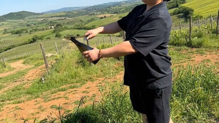 Rome to Tuscany Day Trip: Tenuta Il Quinto Tasting, Countryside Lunch and Big Bench #300 (4/12)