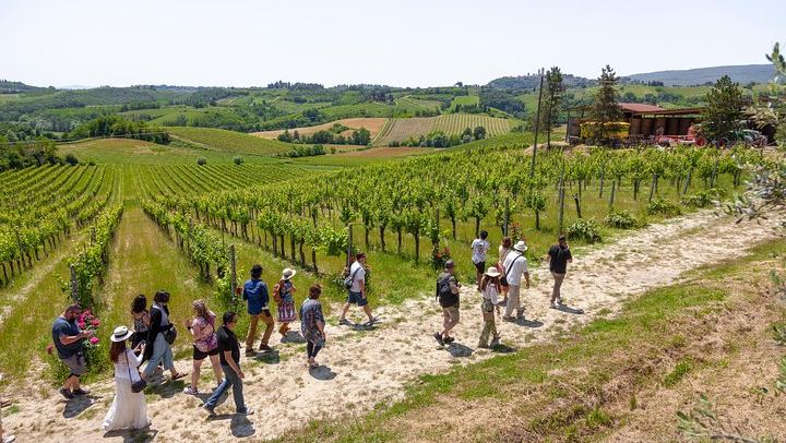 Walkabout Tours Tuscany Day Trip from Florence: Siena, San Gimignano, Pisa, Winery Lunch (1/12)