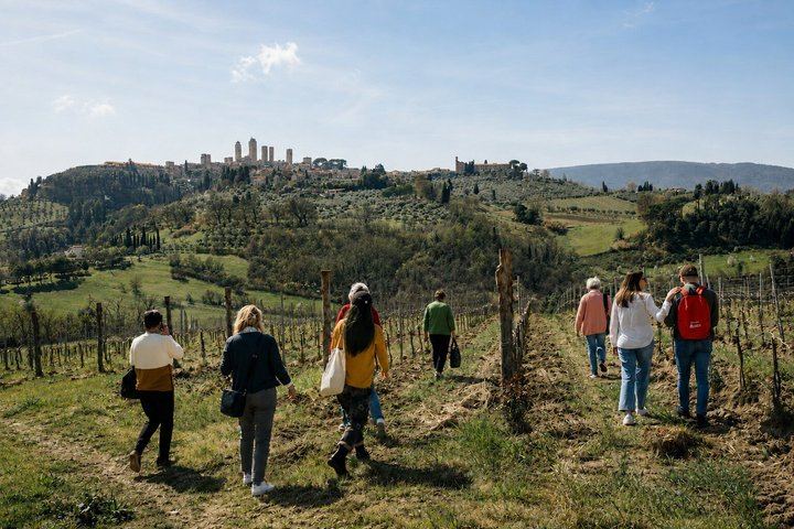 Tuscany Day Tour from Florence: Pisa, Chianti Winery Lunch, San Gimignano and Siena (12/12)