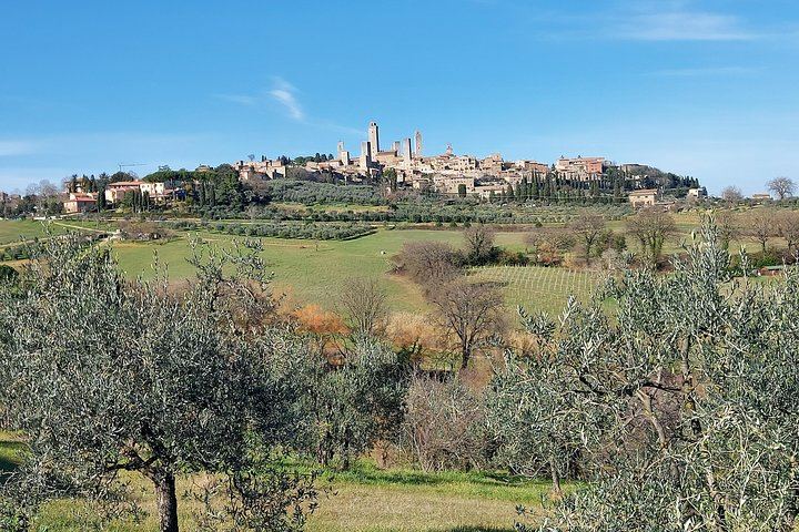 Tuscany Day Tour from Florence: Pisa, Chianti Winery Lunch, San Gimignano and Siena (10/12)