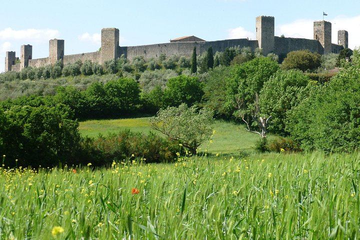 8-Seat Minivan Tour from Florence: Monteriggioni, Siena, Chianti Wine Lunch, San Gimignano (7/12)