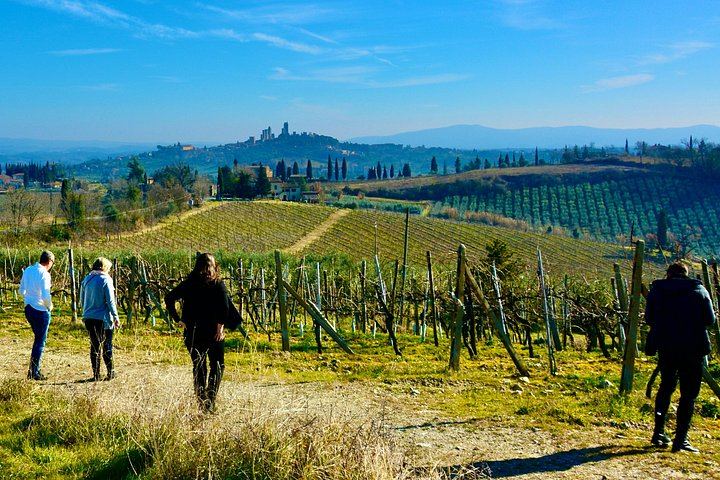 Private Day Trip from Florence to San Gimignano and Chianti by Deluxe Minivan, Commentary (7/8)