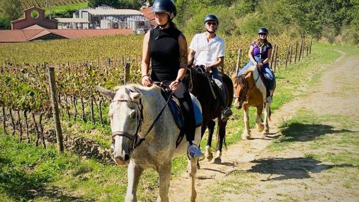 Tuscany Horseback Ride with Winery Lunch, from Florence or San Gimignano (3/12)