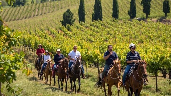 Tuscany Horseback Ride with Winery Lunch, from Florence or San Gimignano (2/12)