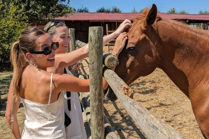 Tuscany Horseback Ride with Winery Lunch, from Florence or San Gimignano (7/12)