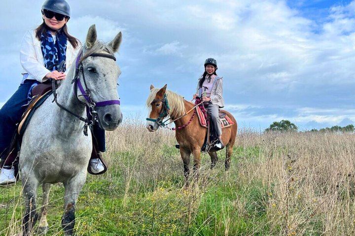 Tuscany Horseback Ride with Winery Lunch, from Florence or San Gimignano (9/12)