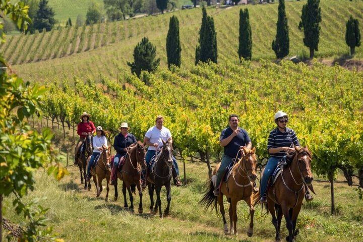 Tuscany Horseback Ride with Winery Lunch, from Florence or San Gimignano (2/12)