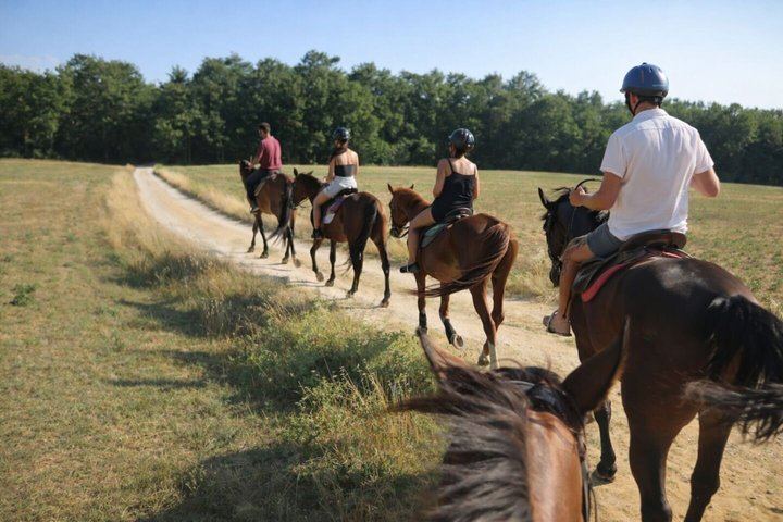 Tuscany Horseback Ride with Winery Lunch, from Florence or San Gimignano (12/12)