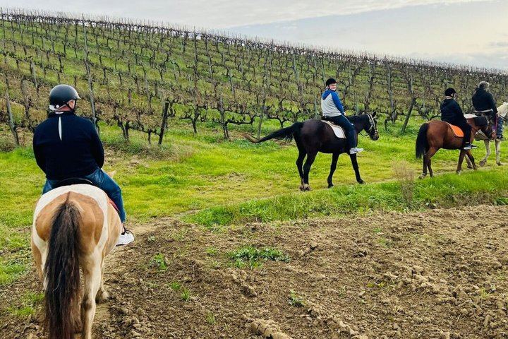 Tuscany Horseback Ride with Winery Lunch, from Florence or San Gimignano (11/12)