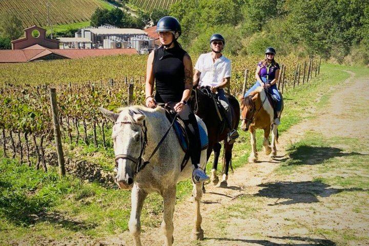 Tuscany Horseback Ride with Winery Lunch, from Florence or San Gimignano (3/12)