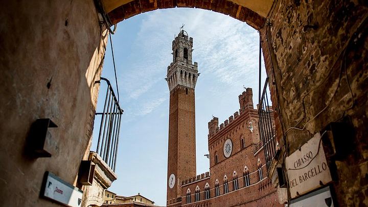 Walkabout Tours Tuscany Day Trip from Florence: Siena, San Gimignano, Pisa, Winery Lunch (2/12)