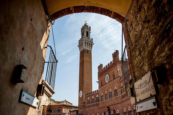 Walkabout Tours Tuscany Day Trip from Florence: Siena, San Gimignano, Pisa, Winery Lunch (2/12)