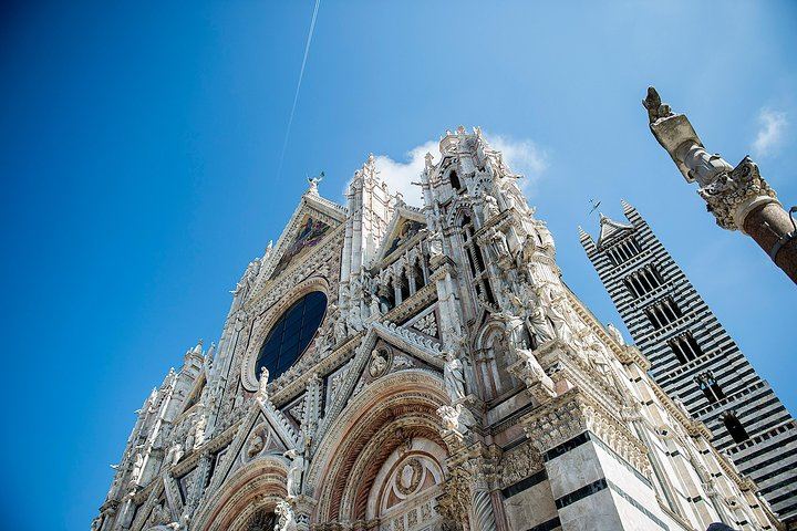 Walkabout Tours Tuscany Day Trip from Florence: Siena, San Gimignano, Pisa, Winery Lunch (4/12)