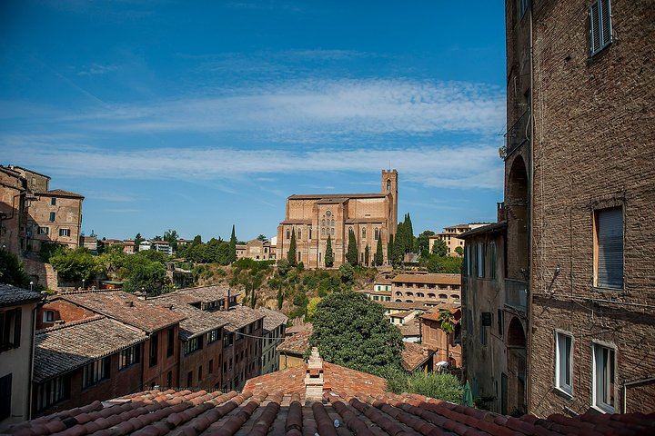 Walkabout Tours Tuscany Day Trip from Florence: Siena, San Gimignano, Pisa, Winery Lunch (12/12)