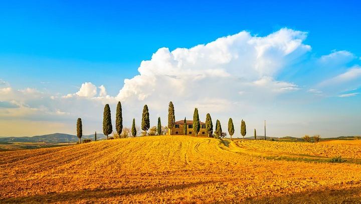 Private Florence Day Trip to Pienza and Montepulciano: Pecorino Dairy, Winery, Minivan (1/7)