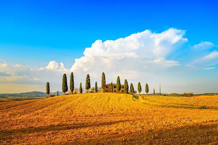 Private Florence Day Trip to Pienza and Montepulciano: Pecorino Dairy, Winery, Minivan (1/7)