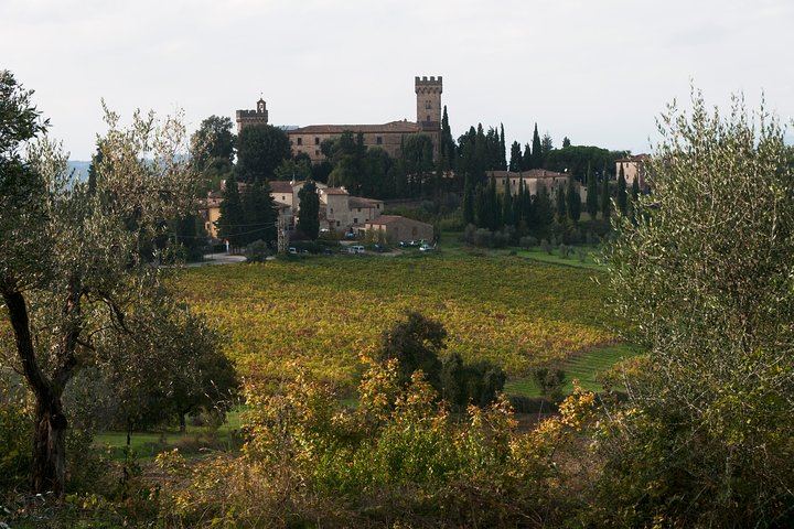 Half-Day Vespa Ride in the Chianti Colli Fiorentini with Lunch and Oil Tasting (5/7)