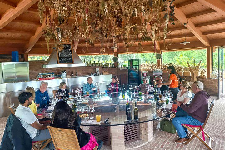 Siena Station Minivan Wine Tour: Montepulciano, Pienza, Val d'Orcia and Brunello Lunch (5/12)