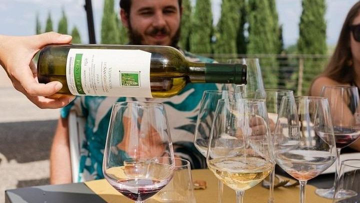 Chianti Winery Hopping from Florence: Fontaleoni and Poggio ai Laghi, 10 Wines and Lunch (2/6)