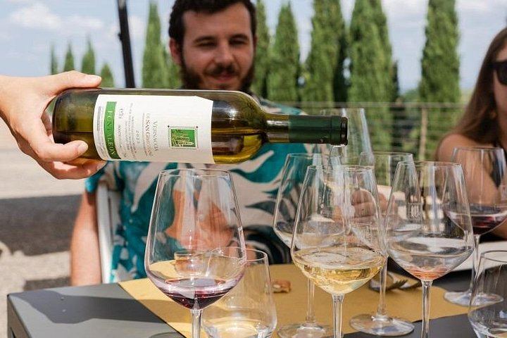 Chianti Winery Hopping from Florence: Fontaleoni and Poggio ai Laghi, 10 Wines and Lunch (2/6)