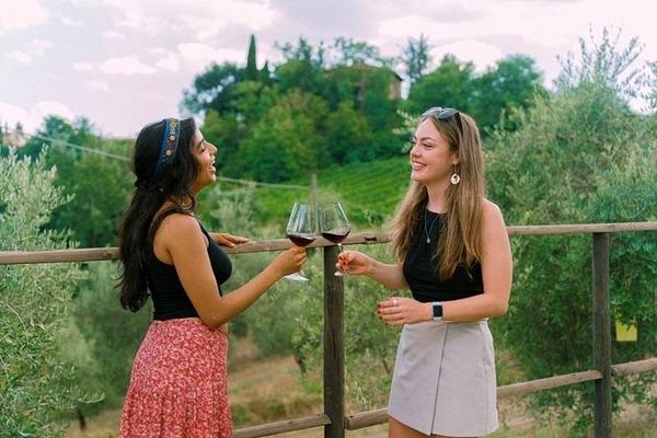 Chianti Winery Hopping from Florence: Fontaleoni and Poggio ai Laghi, 10 Wines and Lunch