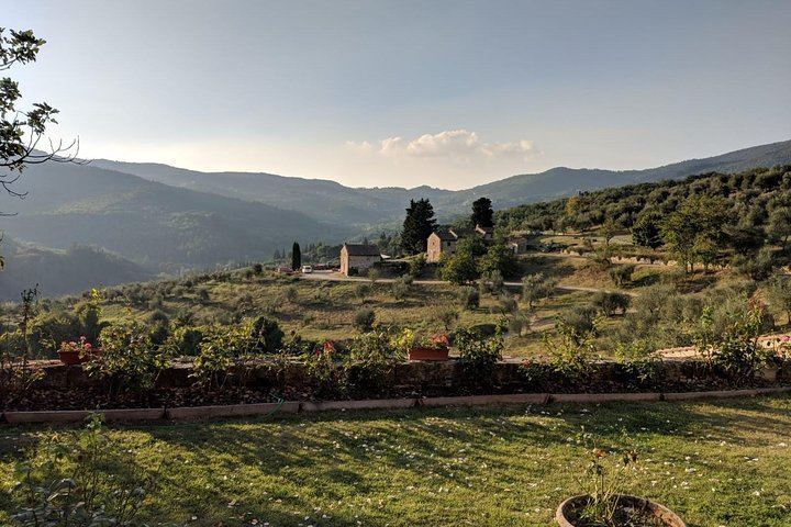 Small-Group Chianti Tasting from Florence at a 12th-Century Villa: Seven Wines and Lunch (7/9)