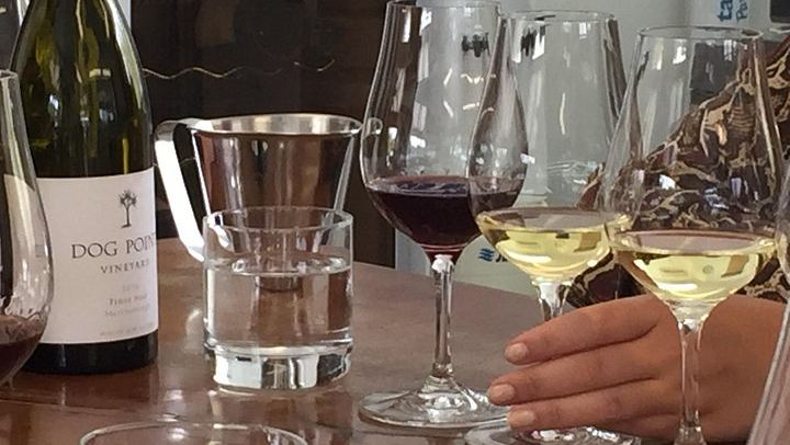 Jimmy's Marlborough Wine Tour: Organic Vineyards, Boutique Cellars, Blenheim Pickup (4/6)