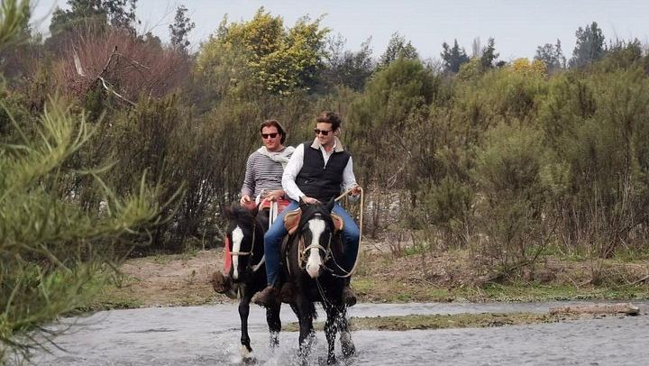 Private Horseback Wine Tour from Santiago: Organic Wine and Country Grill (3/12)