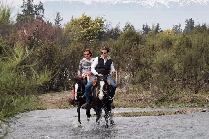Private Horseback Wine Tour from Santiago: Organic Wine and Country Grill (3/12)