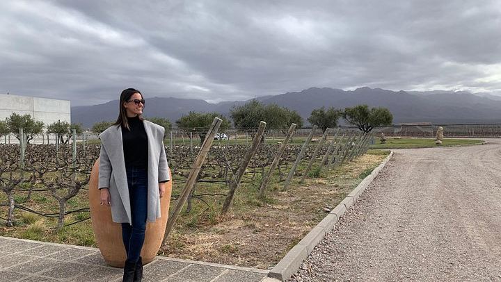 Uco Valley Altitud Vines Tour: Gualtallary, Chacayes and Altamira Micro-Terroirs (1/3)