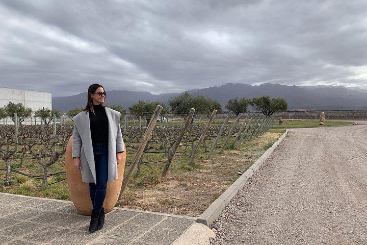 Uco Valley Altitud Vines Tour: Gualtallary, Chacayes and Altamira Micro-Terroirs (1/3)