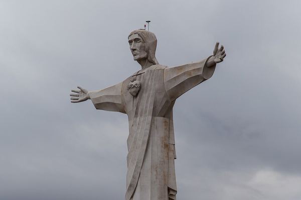 Uco Valley and Cordon del Plata: Organic Tasting, Cristo Rey and Historic Apple Tree