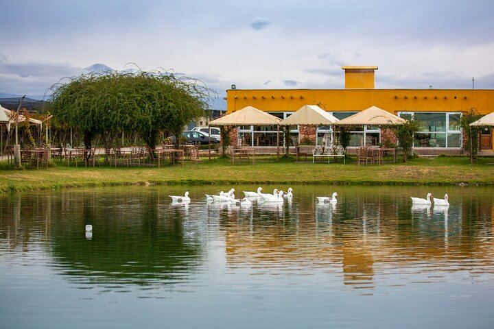 Uco Valley and Cordon del Plata: Organic Tasting, Cristo Rey and Historic Apple Tree (10/10)