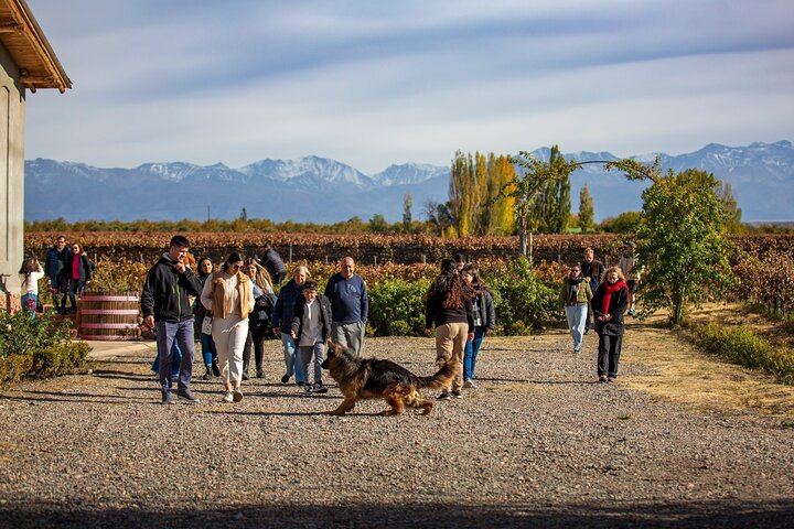 Uco Valley and Cordon del Plata: Organic Tasting, Cristo Rey and Historic Apple Tree (2/10)