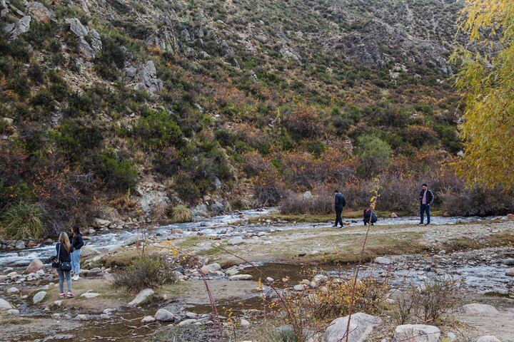 Uco Valley and Cordon del Plata: Organic Tasting, Cristo Rey and Historic Apple Tree (3/10)