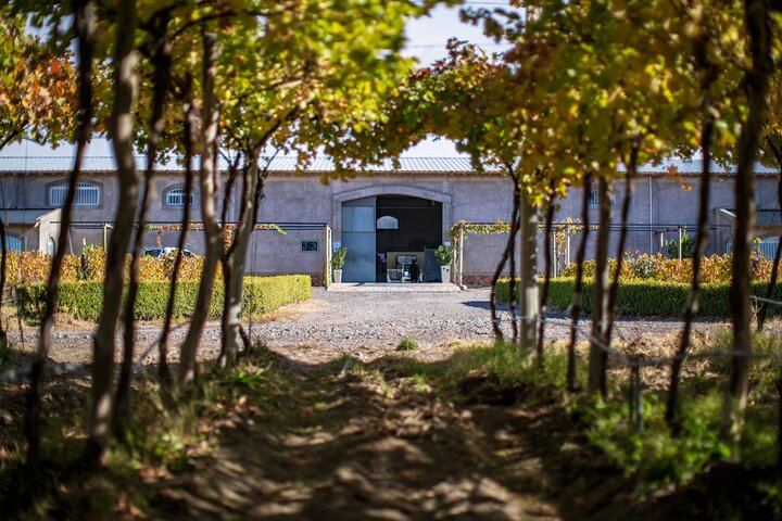 Uco Valley and Cordon del Plata: Organic Tasting, Cristo Rey and Historic Apple Tree (6/10)
