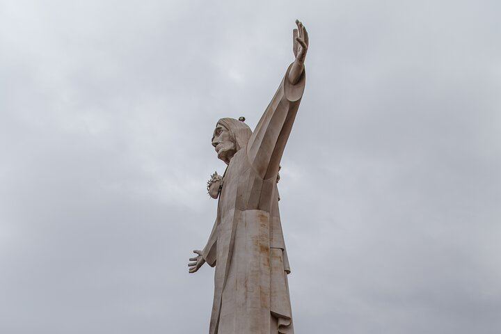 Uco Valley and Cordon del Plata: Organic Tasting, Cristo Rey and Historic Apple Tree (7/10)