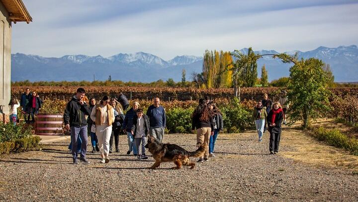 Uco Valley and Cordon del Plata: Organic Tasting, Cristo Rey and Historic Apple Tree (2/10)