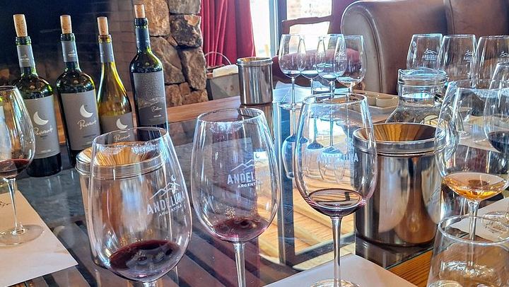 Private Uco Valley Wine Day with Driver: Bousquet, Salentein and Andean Lunch (4/12)