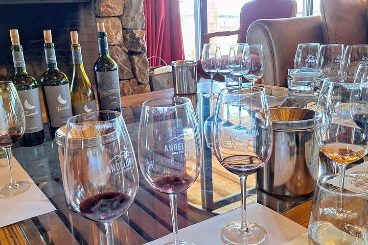 Private Uco Valley Wine Day with Driver: Bousquet, Salentein and Andean Lunch (4/12)