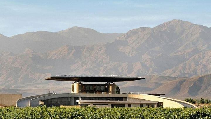 Uco Valley Gourmet Wine Tour with Peter Wine Tours: Boutique Wineries and Malbec (3/6)