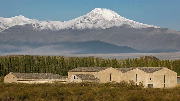Uco Valley Gourmet Wine Tour with Peter Wine Tours: Boutique Wineries and Malbec (1/6)