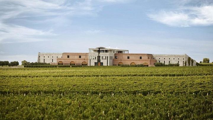 Uco Valley Gourmet Wine Tour with Peter Wine Tours: Boutique Wineries and Malbec (4/6)