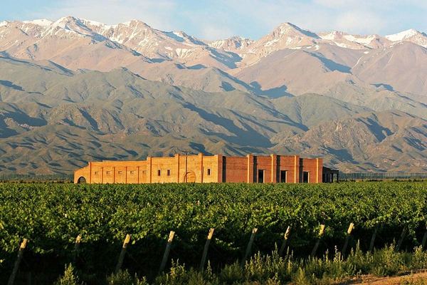 Uco Valley Gourmet Wine Tour with Peter Wine Tours: Boutique Wineries and Malbec